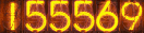 155569